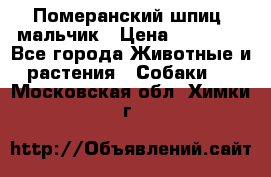 Померанский шпиц, мальчик › Цена ­ 35 000 - Все города Животные и растения » Собаки   . Московская обл.,Химки г.